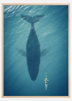 A Big Whale Plakat (21x29.7 cm (A4))
