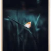 A Lonely Butterfly Plakat (21x29.7 cm (A4))