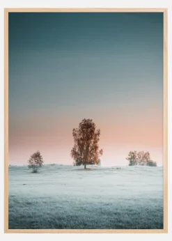 A Peaceful Morning Plakat (21x29.7 cm (A4))