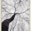 A view of the tree crown Plakat (21x29.7 cm (A4))