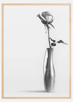 Alone in a wase Plakat (21x29.7 cm (A4))