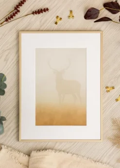 Aluminiumramme Messing 70x100 cm - Passepartout Hvid 61x91,5 cm