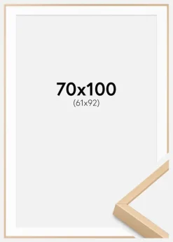 Aluminiumramme Messing 70x100 cm - Passepartout Hvid 62x93 cm