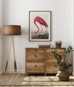 American Flamingo Plakat (21x29.7 cm (A4))