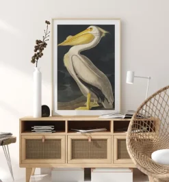 American White Pelican Plakat (21x29.7 cm (A4))