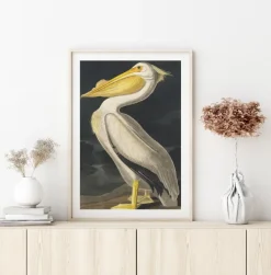 American White Pelican Plakat (21x29.7 cm (A4))
