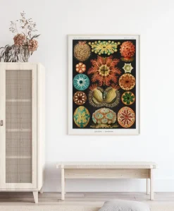 Animalium Plakat (21x29.7 cm (A4))