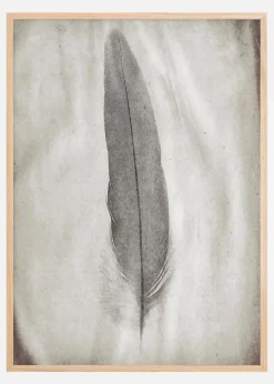 Aquarelle Feather Plakat (21x29.7 cm (A4))