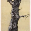 Aurum Naturae I Plakat (21x29.7 cm (A4))