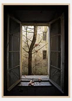 Autumn In Asylum Plakat (21x29.7 cm (A4))