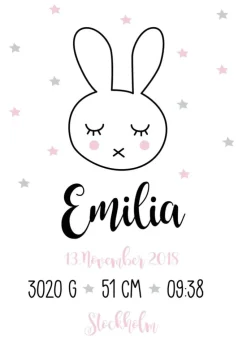 Baby Rabbit - Pink (21x29,7 cm (A4))