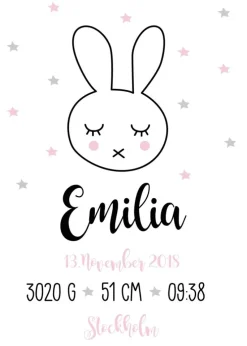 Baby Rabbit - Pink (21x29,7 cm (A4))