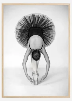 Ballet Technique Plakat (21x29.7 cm (A4))