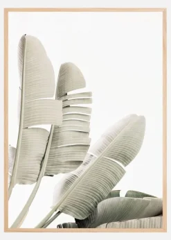 Banana leaf 2 Plakat (21x29.7 cm (A4))