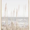 Beach Vass 001 Plakat (21x29.7 cm (A4))