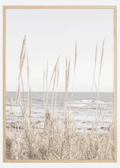 Beach Vass 001 Plakat (21x29.7 cm (A4))