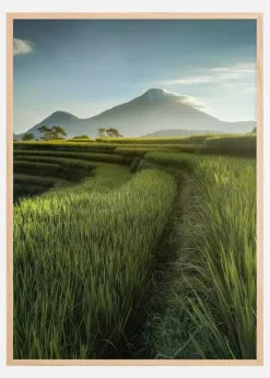 Beautiful Landscape Plakat (21x29.7 cm (A4))