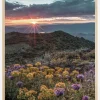 Beautiful Sunset Plakat (21x29.7 cm (A4))