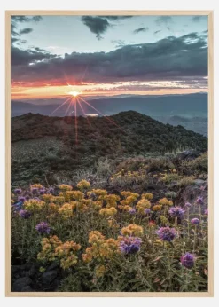 Beautiful Sunset Plakat (21x29.7 cm (A4))