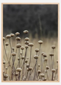 Beige Field Plakat (21x29.7 cm (A4))