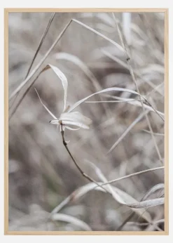 Beige Plakat (21x29.7 cm (A4))