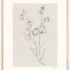 Bellflowers ink drawing Plakat (21x29.7 cm (A4))