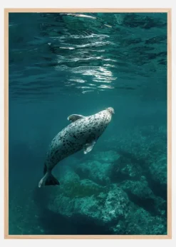 Bend Plakat (21x29.7 cm (A4))