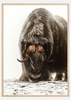 Between the fog and frost Plakat (21x29.7 cm (A4))