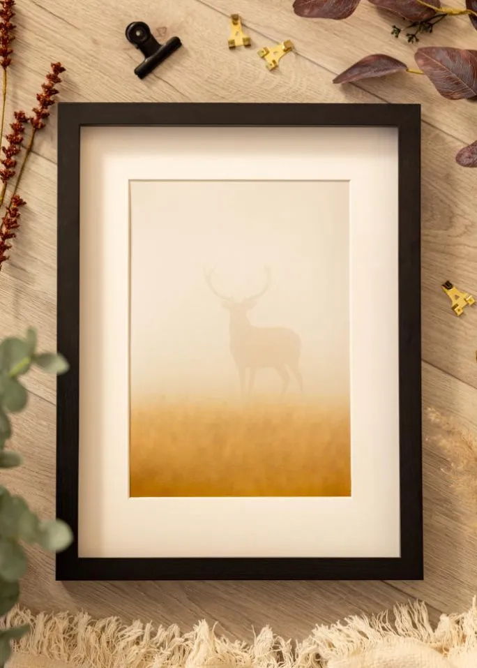 BGA Kasseramme Sort 50x60 cm - Passepartout Hvid 14x18 inches