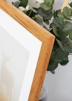 BGA Select Wide Akrylglas Eg 50x70 cm