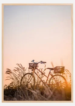 Bike Ride In The Sunset Plakat (21x29.7 cm (A4))