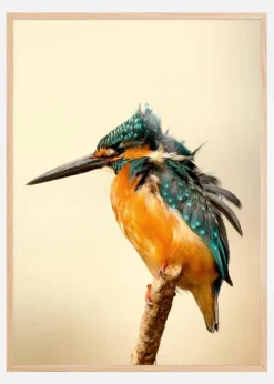 Bird On Tree Plakat (21x29.7 cm (A4))