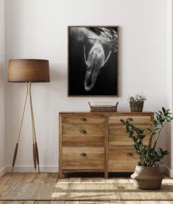 Black A Whale Plakat (21x29.7 cm (A4))