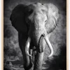 Black and White Elephant Plakat (21x29.7 cm (A4))