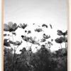 Black and white field with flowers Plakat (21x29.7 cm (A4))