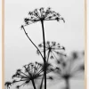 Black And White Flowers Plakat (21x29.7 cm (A4))