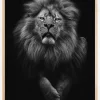 Black and White Lion Plakat (21x29.7 cm (A4))