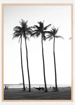 Black And White Palm Trees Plakat (21x29.7 cm (A4))