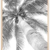 Black and white palmtree Plakat (21x29.7 cm (A4))
