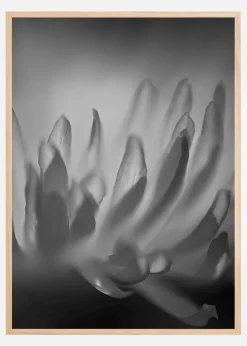 Black and White Shaddows Plakat (21x29.7 cm (A4))