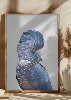 Black Cockatoo Plakat (21x29.7 cm (A4))