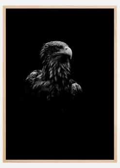 Black Eagle Plakat (21x29.7 cm (A4))