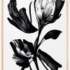 Black Flower Plakat (21x29.7 cm (A4))