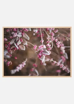 Blomst Nærbillede Plakat (30x40 cm)