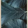 Blue Leaves Plakat (21x29.7 cm (A4))