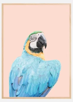 Blue Macaw Plakat (21x29.7 cm (A4))