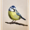 Blue tit Plakat (21x29.7 cm (A4))