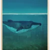 Blue Whale Plakat (21x29.7 cm (A4))