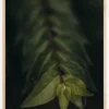 Blurry Branch Plakat (21x29.7 cm (A4))
