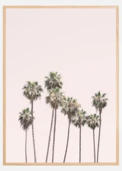 Blush Palms Plakat (21x29.7 cm (A4))